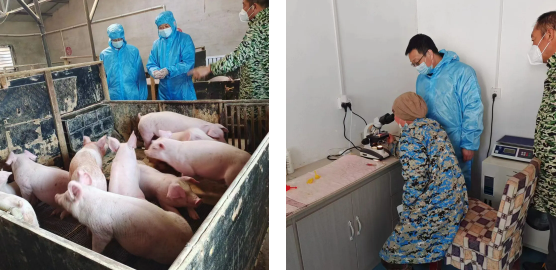 1702979949118619.png 65.png